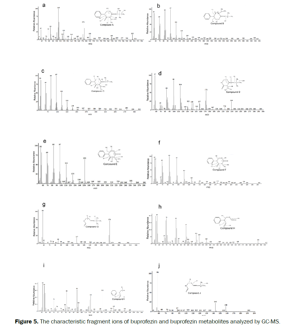 microbiology-biotechnology-buprofezin-metabolites-analyzed