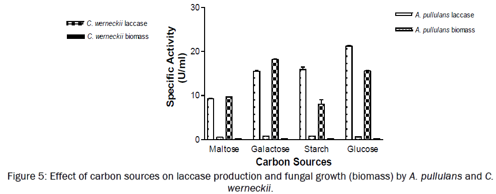 microbiology-biotechnology-carbon-sources