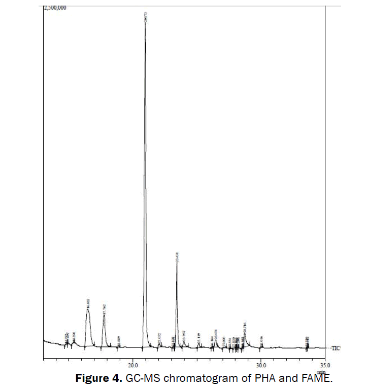 microbiology-biotechnology-chromatogram