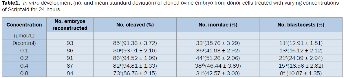 microbiology-biotechnology-cloned-ovine-embryo