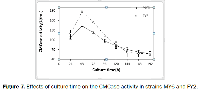 microbiology-biotechnology-culture-time-strains