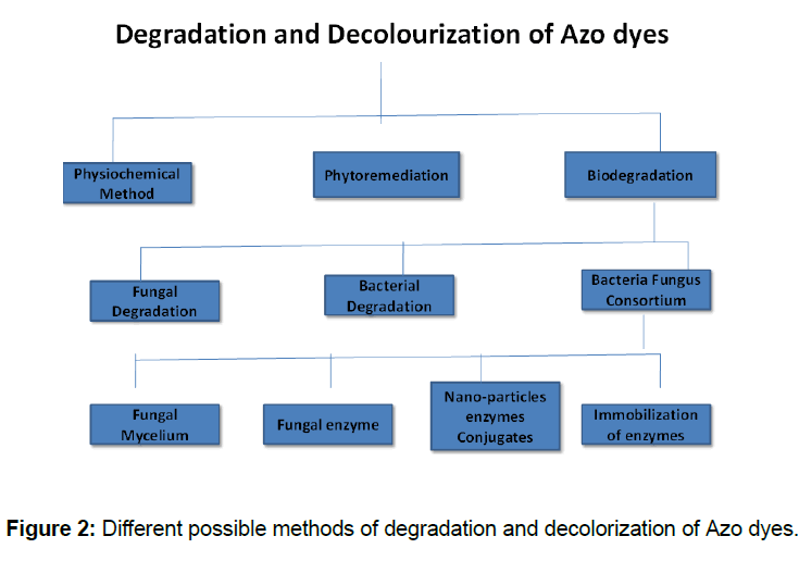 microbiology-biotechnology-degradation