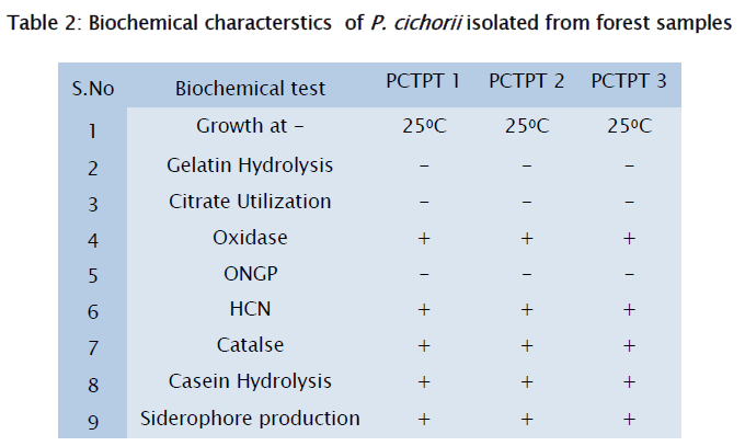 microbiology-biotechnology-forest-samples