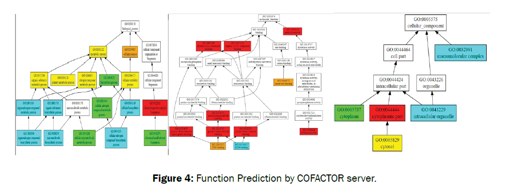 microbiology-biotechnology-function