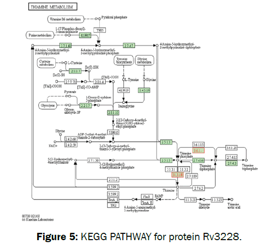 microbiology-biotechnology-function-protein