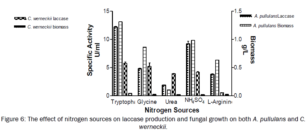 microbiology-biotechnology-fungal-growth