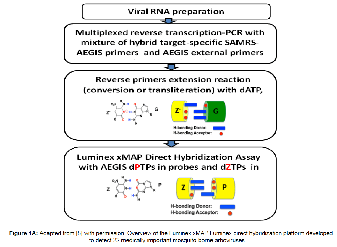 microbiology-biotechnology-hybridization-platform