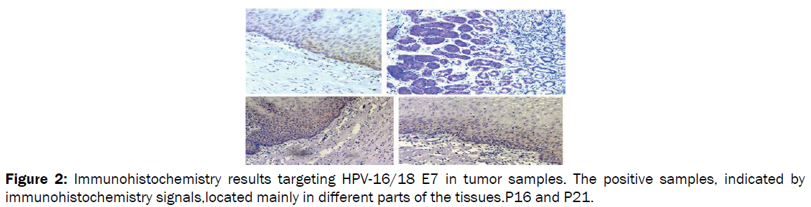 microbiology-biotechnology-immunohistochemistry-signals