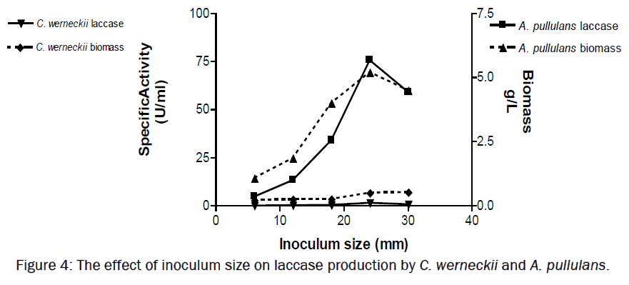 microbiology-biotechnology-inoculum