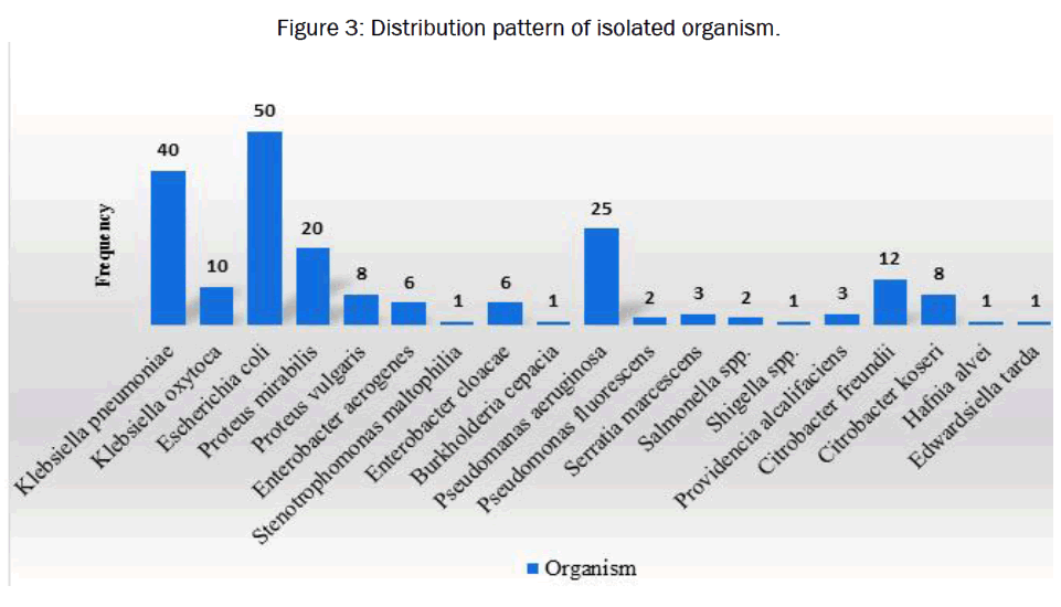 microbiology-biotechnology-isolated-organism