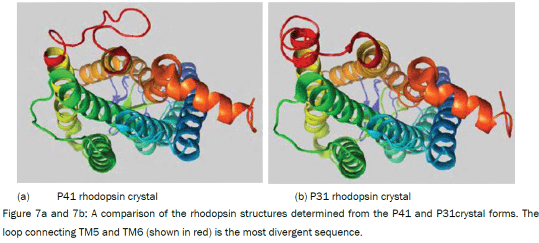 microbiology-biotechnology-loop-connecting