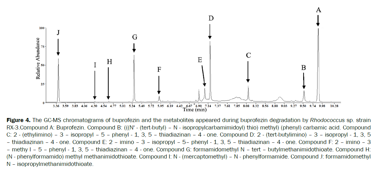 microbiology-biotechnology-methyl-methanimidothioate-Compound