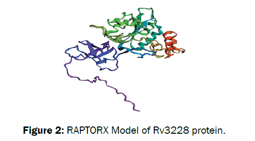 microbiology-biotechnology-model