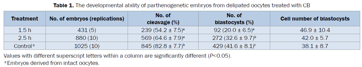 microbiology-biotechnology-parthenogenetic-embryos