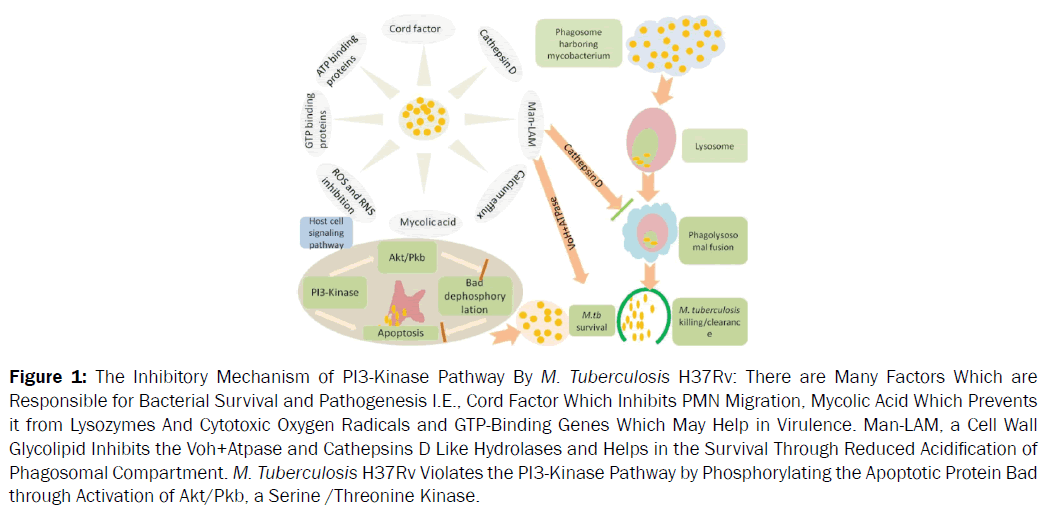 microbiology-biotechnology-pathway