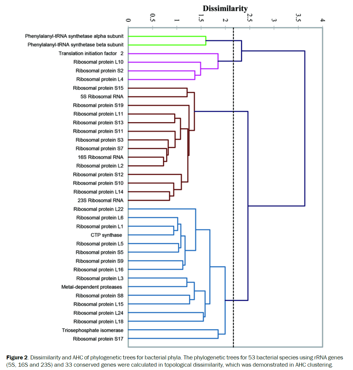 microbiology-biotechnology-phylogenetic-trees