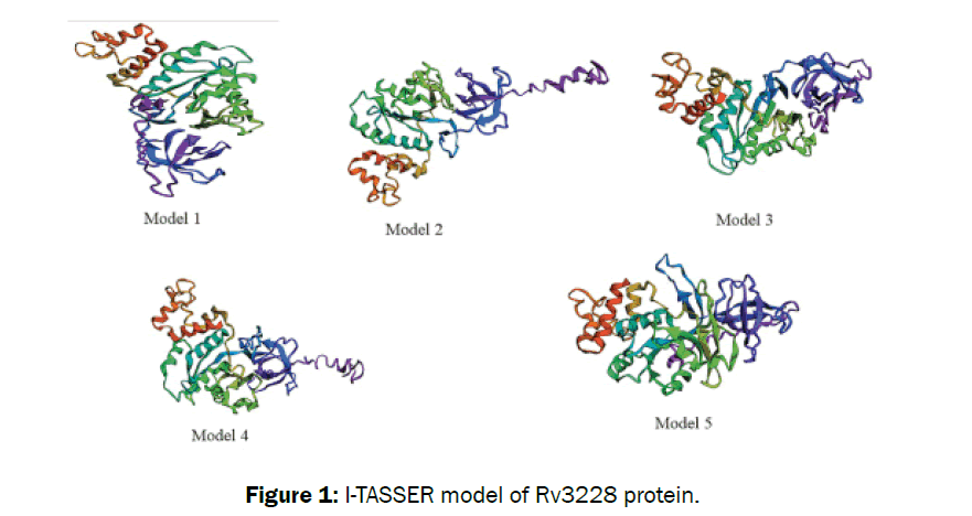 microbiology-biotechnology-protein