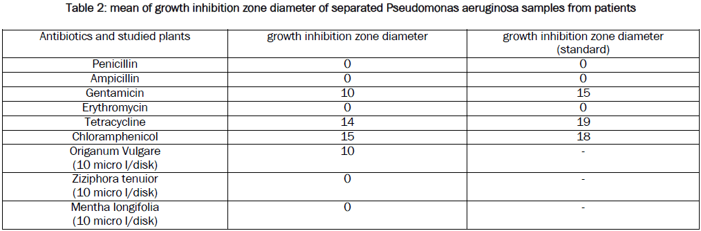 microbiology-biotechnology-separated-Pseudomonas-aeruginosa