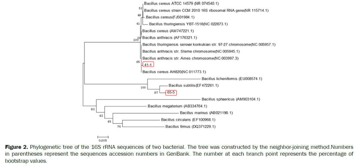 microbiology-biotechnology-sequences-accession