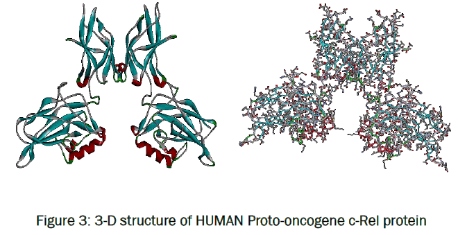 microbiology-biotechnology-structure-Proto-oncogene