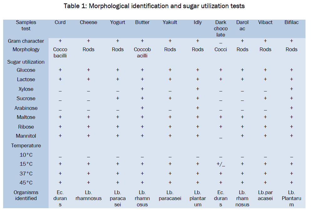 microbiology-biotechnology-sugar-utilization-tests