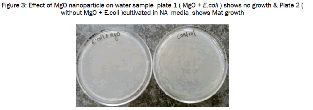 microbiology-biotechnology-water-sample-plate