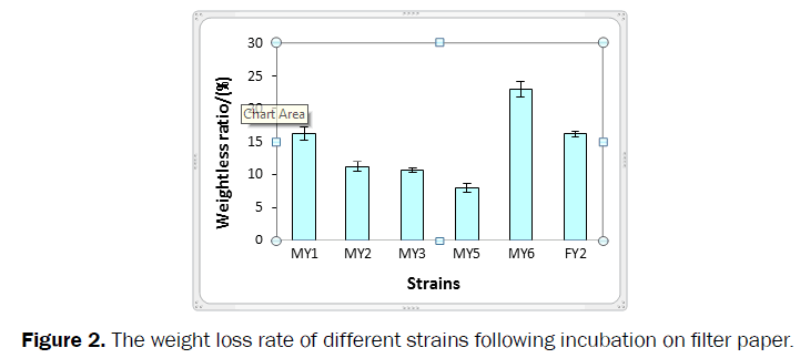 microbiology-biotechnology-weight-loss-rate