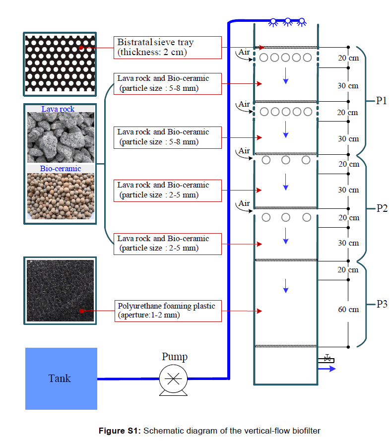 microbiology-vertical-flow-biofilter