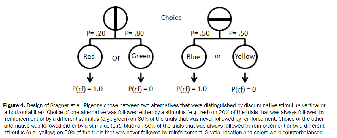 neuroscience-counterbalanced