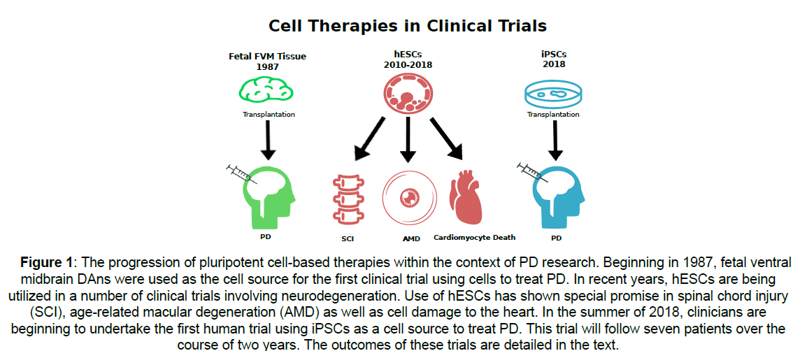 neuroscience-first-clinica