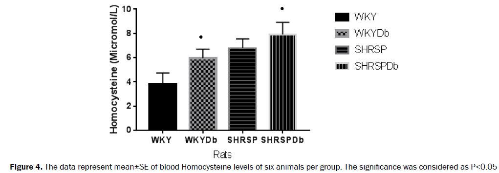 neuroscience-levels