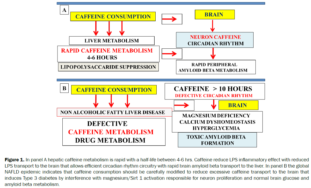 neuroscience-panel