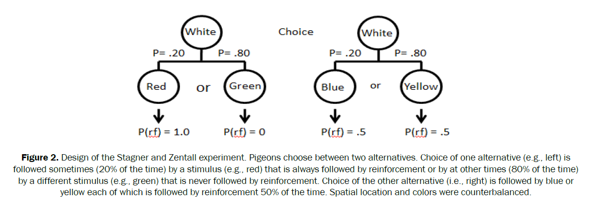 neuroscience-reinforcement