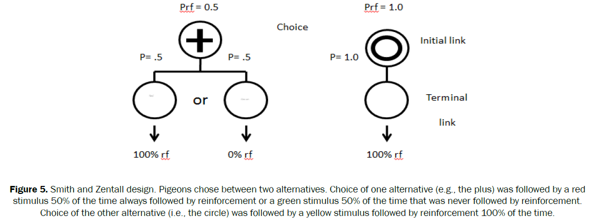 neuroscience-stimulus