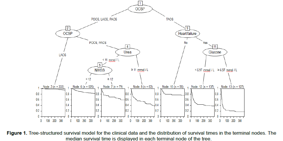 neuroscience-terminal-nodes