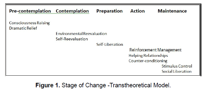 nursing-and-health-sciences-Transtheoretical-Model