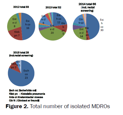 nursing-health-sciences-Hand-Total-number-isolated