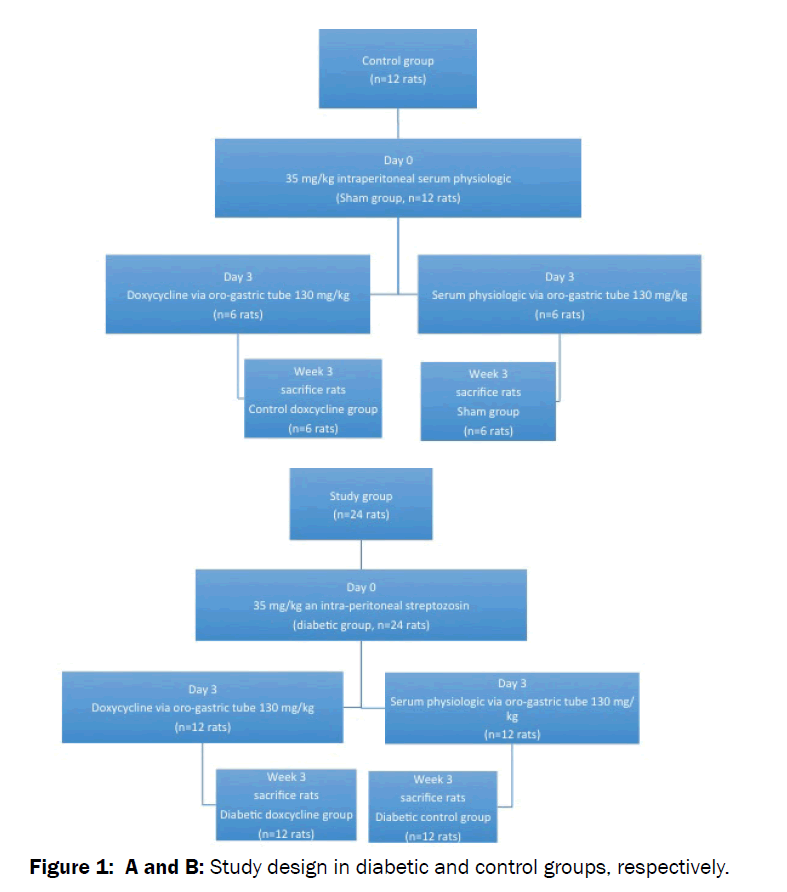 orthopedics-control-groups