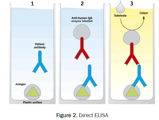 pharmaceutical-analysis-Direct-ELISA