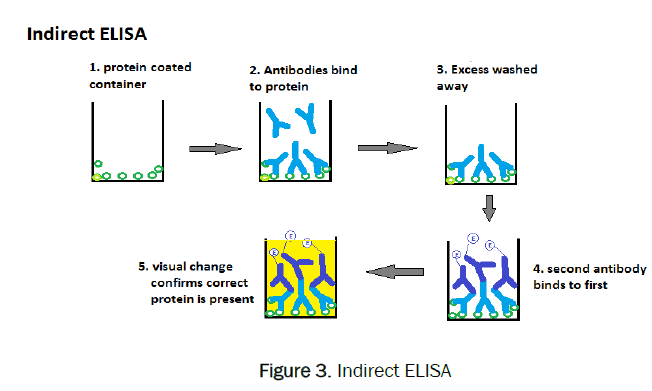 pharmaceutical-analysis-Indirect-ELISA