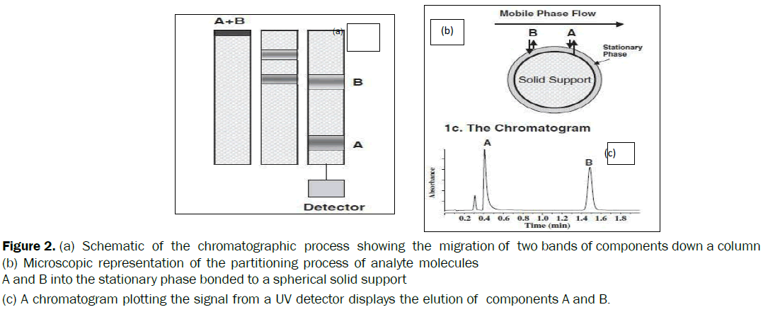 pharmaceutical-analysis-chromatographic-process