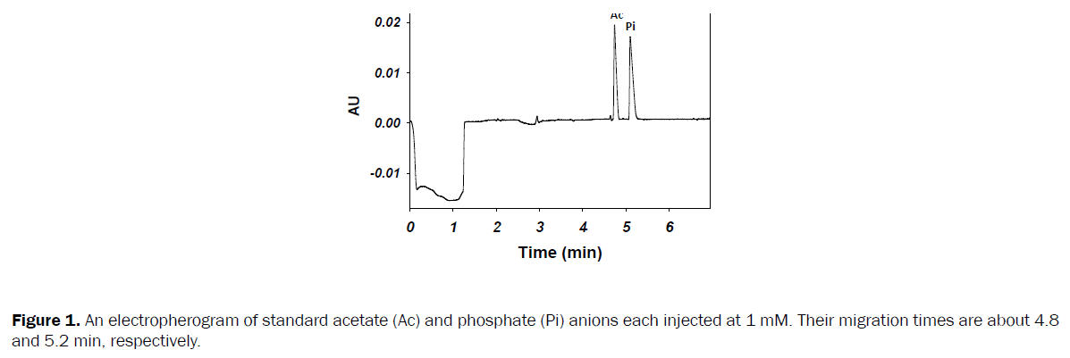 pharmaceutical-analysis-electropherogram-standard-acetate