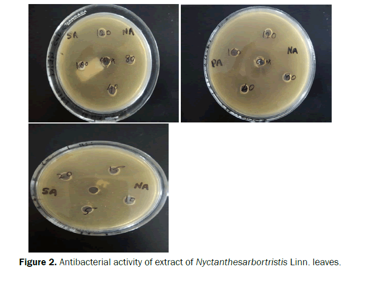 pharmaceutical-quality-assurance-Antibacteria-activity