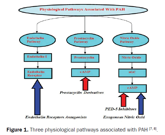 pharmaceutical-quality-assurance-Three-physiological