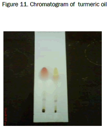 pharmaceutical-sciences-Chromatogram-turmeric-oil