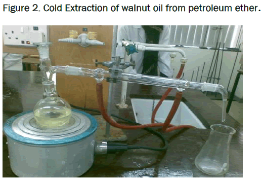 pharmaceutical-sciences-Cold-Extraction-walnut-oil