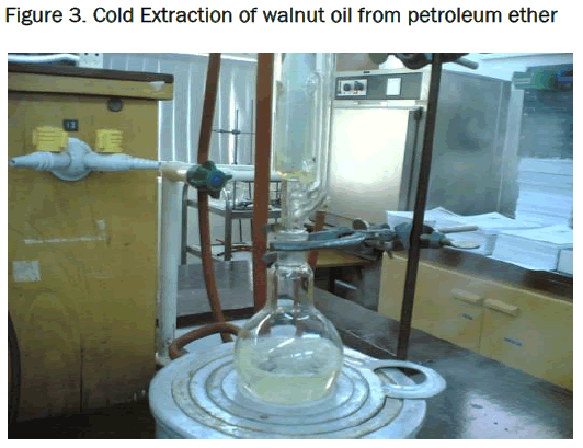 pharmaceutical-sciences-Cold-Extraction-walnut-oil
