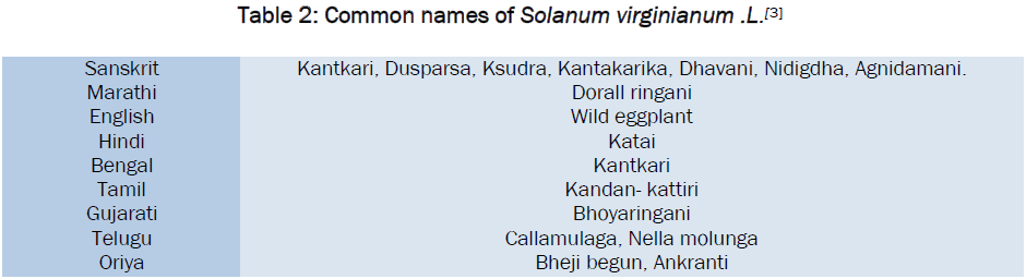 pharmaceutical-sciences-Common-names-Solanum-virginianum