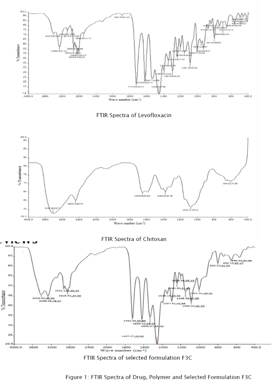 pharmaceutical-sciences-Drug-Polymer