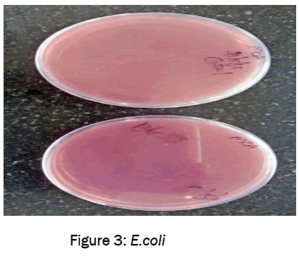 pharmaceutical-sciences-E.coli